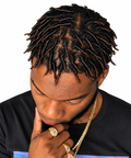 Starter Locs | Oakleaf, Orange Park & Jacksonville, FL