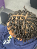 Starter Locs | Jacksonville & Orange Park, FL